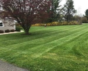 Brookfield CT lawn Mowing