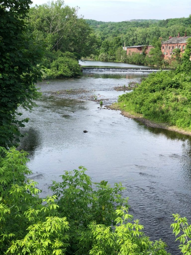 Waterfront Home Market Trends