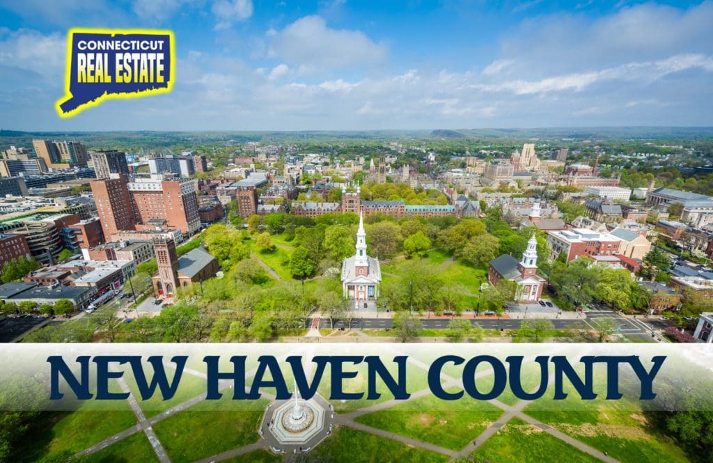 new haven