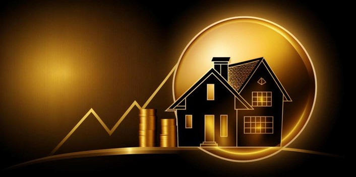 Chapter 1 Introduction: Maximize Your Home Sale Profits