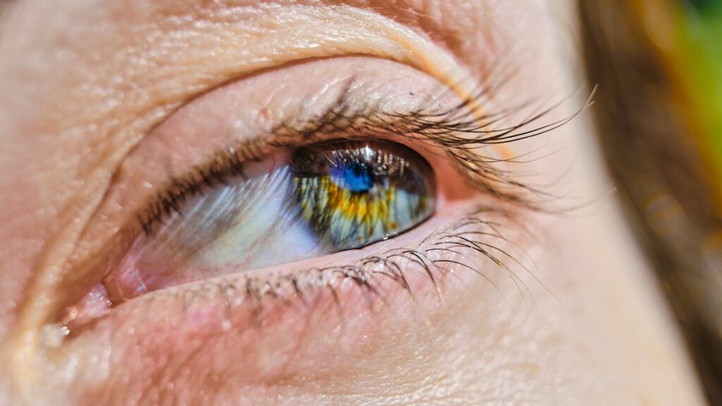 Vision for Construction Management