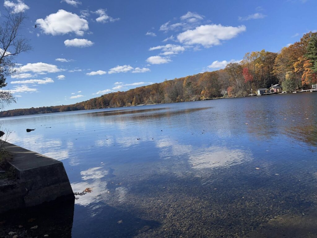 18 Niles Rd. New Hartford CT 29.6 acres of raw land